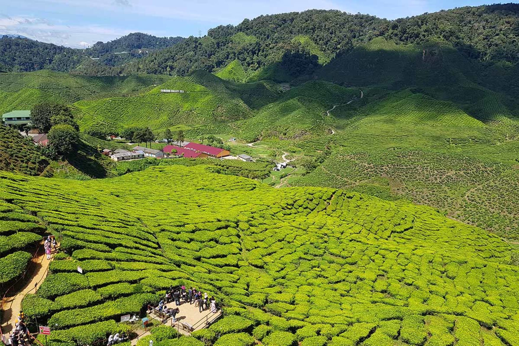 Cycling Phuket to Malaysia Tour 14 Days